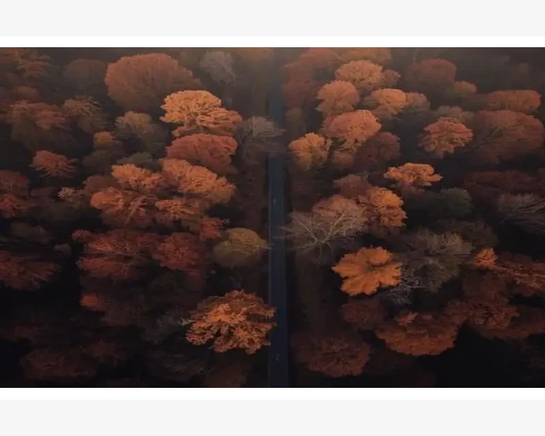 抗炎化痰平喘治疗，中医科普，帮助你呼吸畅通健康！